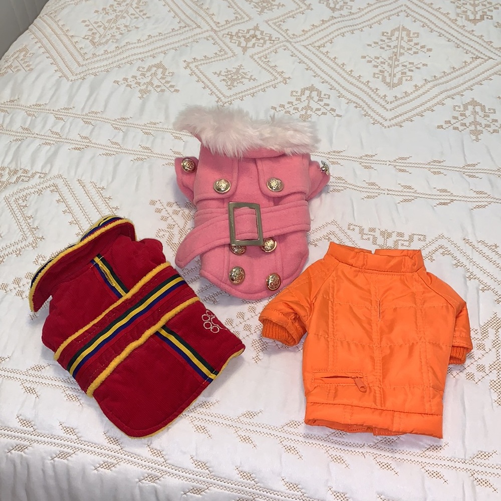 Pre loved coats for dogs. XS